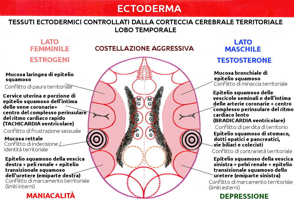 Costellazione Aggressiva