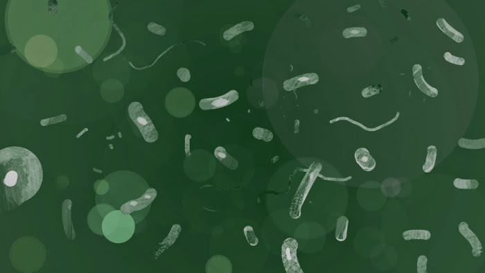 Batteri in un liquido