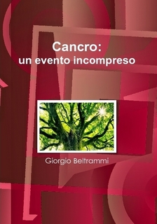 Versione e-book *